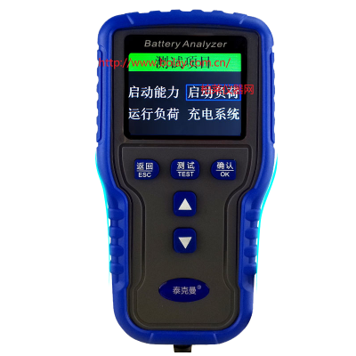 泰克曼 TM2020A 12V/24V新版彩屏蓄