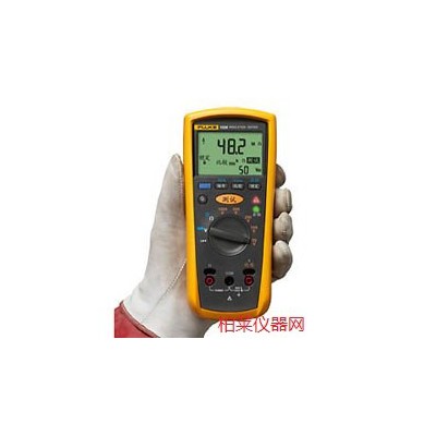 Fluke 1503 绝缘电阻测试仪