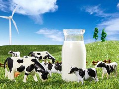 奶业高质量发展推进会召开 振兴奶业检测也是必要环节