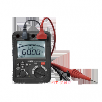 华盛昌 DT-6605专业高压绝缘电阻测