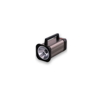 力新宝DT-315P数字式频闪仪